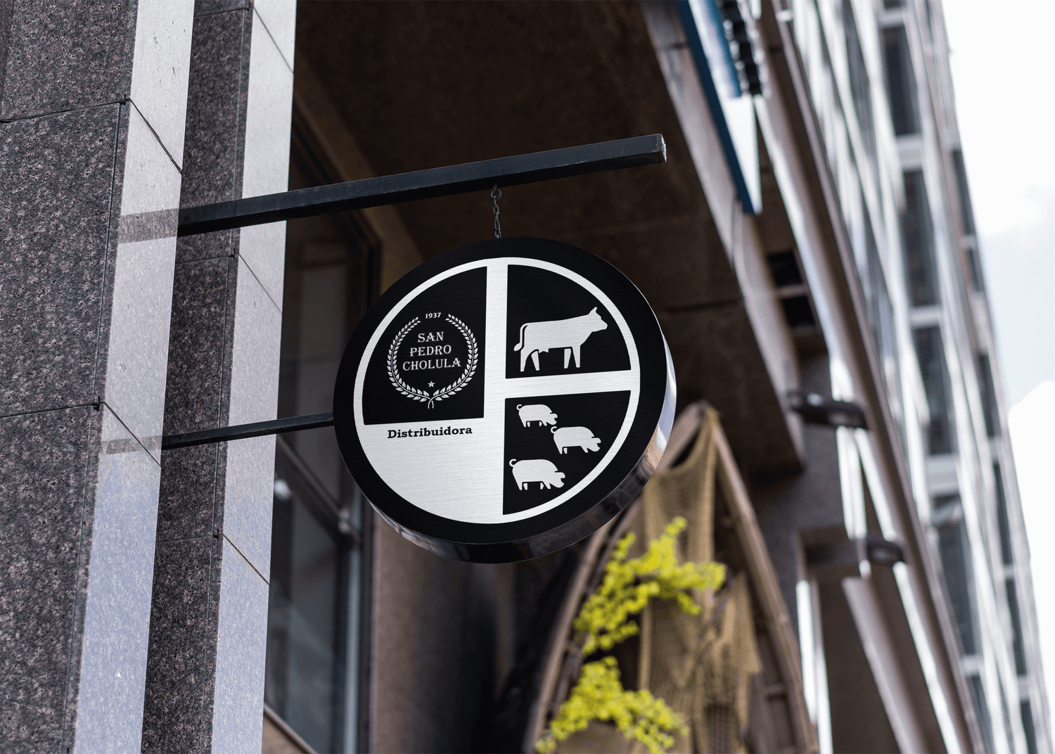 Combos Compra por paquete y optimiza tu compra, recibe descuento por comprar todo junto y ahorra tiempo. DSPC