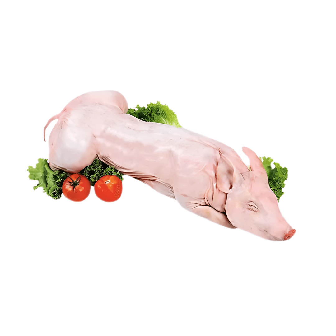 Lechal Lechón Entero El lechón o lechal es un cerdo joven, alimentado exclusivamente con leche materna, lo que da como resultado una carne tierna, jugosa y de sabor suave. Este producto es considerado una exquisitez en la gastronomía, ideal para asados, d