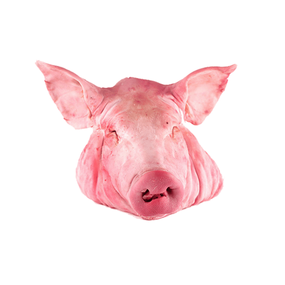 Cabeza cerdo La Cabeza de Cerdo Fresca es un producto versátil y rico en sabor, ideal para preparar platillos tradicionales de la cocina mexicana e internacional. Este corte incluye una mezcla de carne, grasa y cartílago que, al cocinarse correctamente, r
