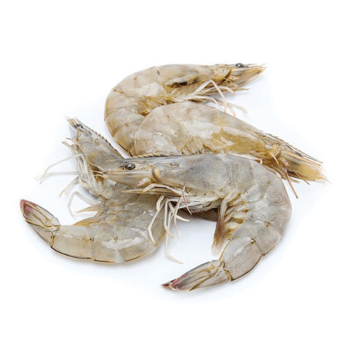 Camarón con cabeza 30/40 Nuestro camarón con cabeza de medida 30/40 es un producto de calidad premium, seleccionado cuidadosamente para garantizar su frescura, sabor y tamaño uniforme. Este camarón se distingue por su carne jugosa, textura firme y su pres