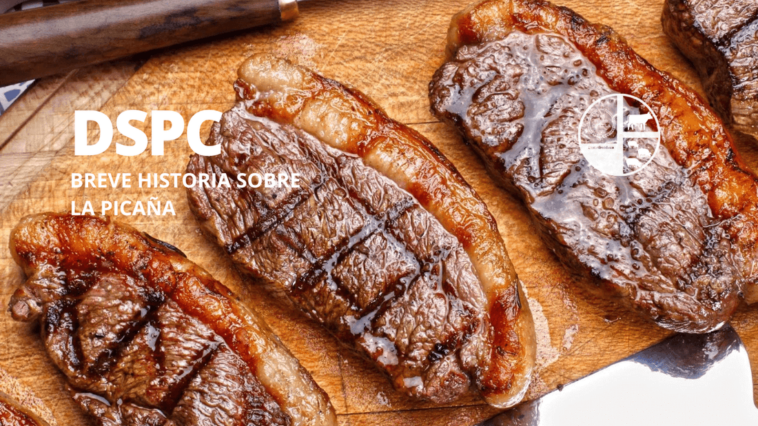 Breve historia sobre la picaña Posiblemente la hayas observado en numeroros restaurantes, pertenece a los cortes de carne más célebres y solicitados, con un alto impacto en la gastronomía de Brasil y es aquí donde tiene su origen.