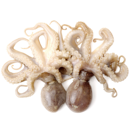 Pulpo Maya talla 2-4 crudo